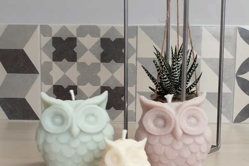 Cire en Scène — photo 6