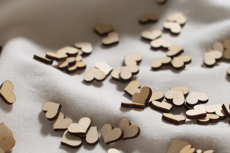 Happy Kiwi — photo 1