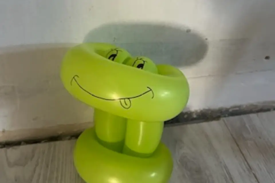 Angèle Animation — photo 8