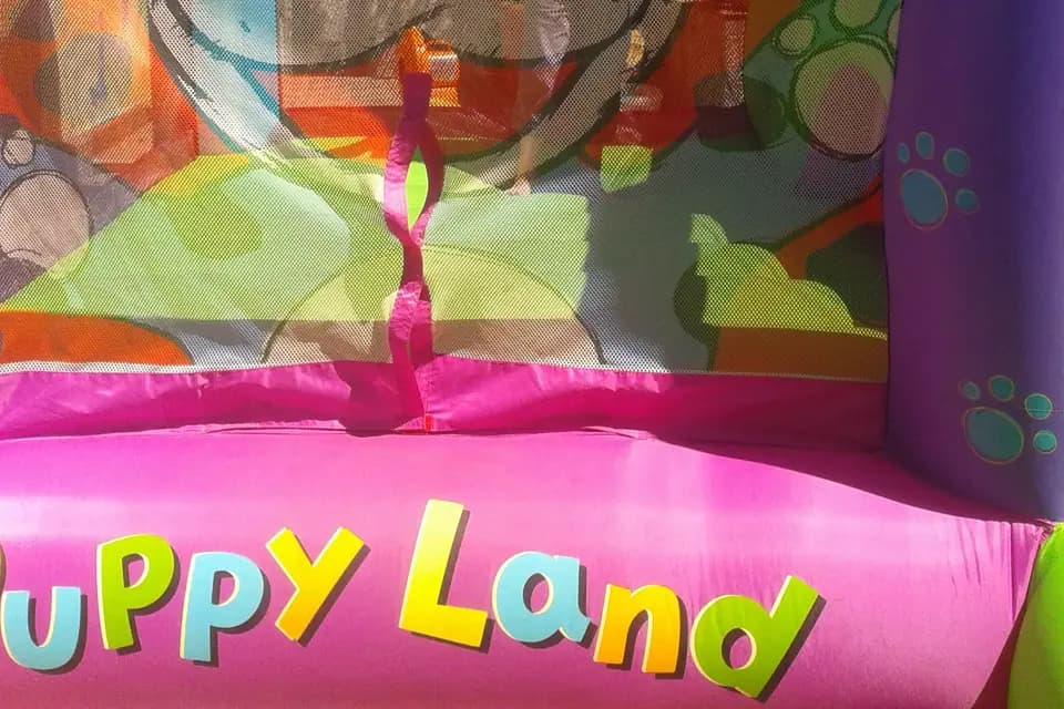 Angèle Animation — photo 4