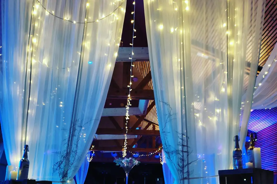 Mlle C Wedding — photo 3