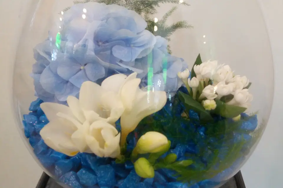 Eclat de Roses — photo 4