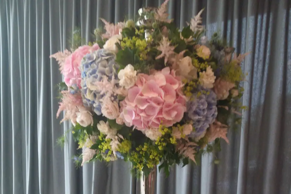 Eclat de Roses — photo 5