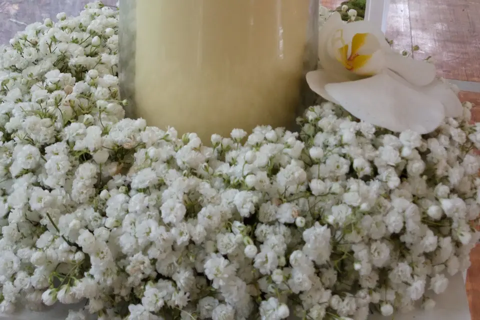 Eclat de Roses — photo 7