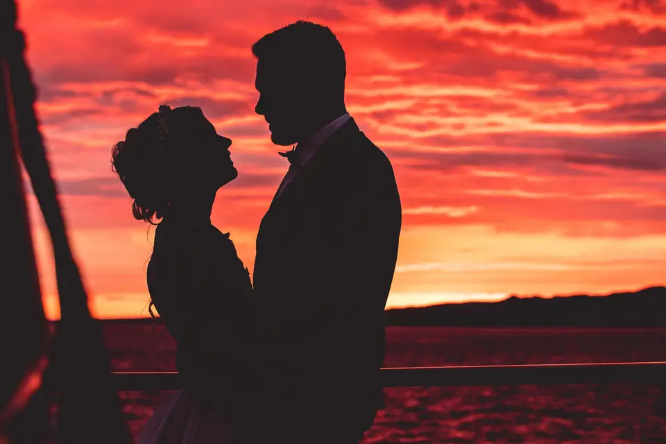 APA Production — photo 3