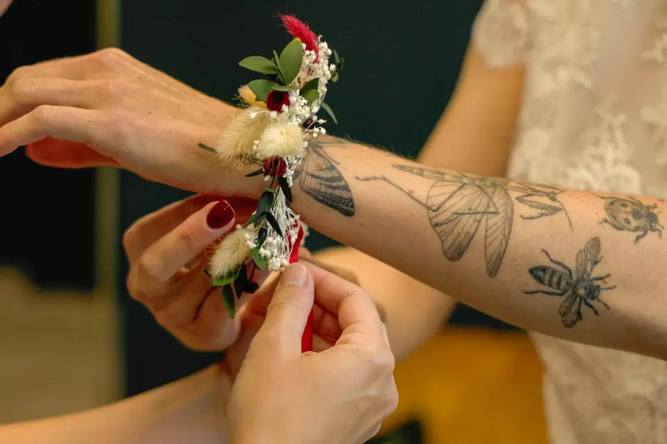 Titvisuel — photo 5