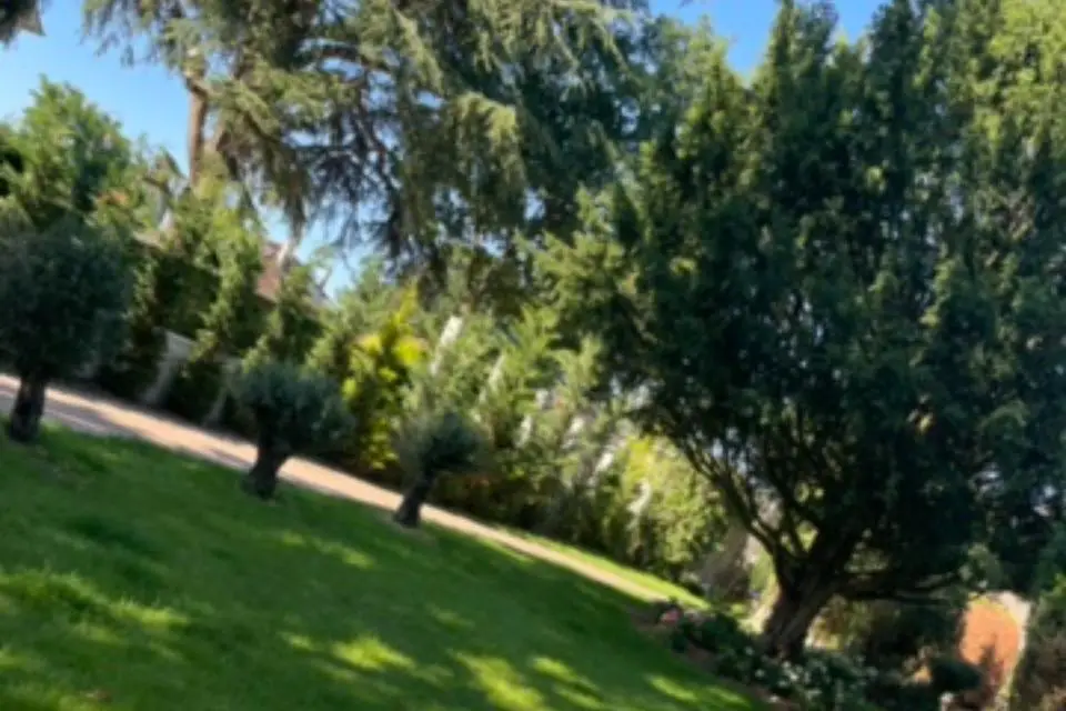 Le Domaine de Montmorency — photo 8