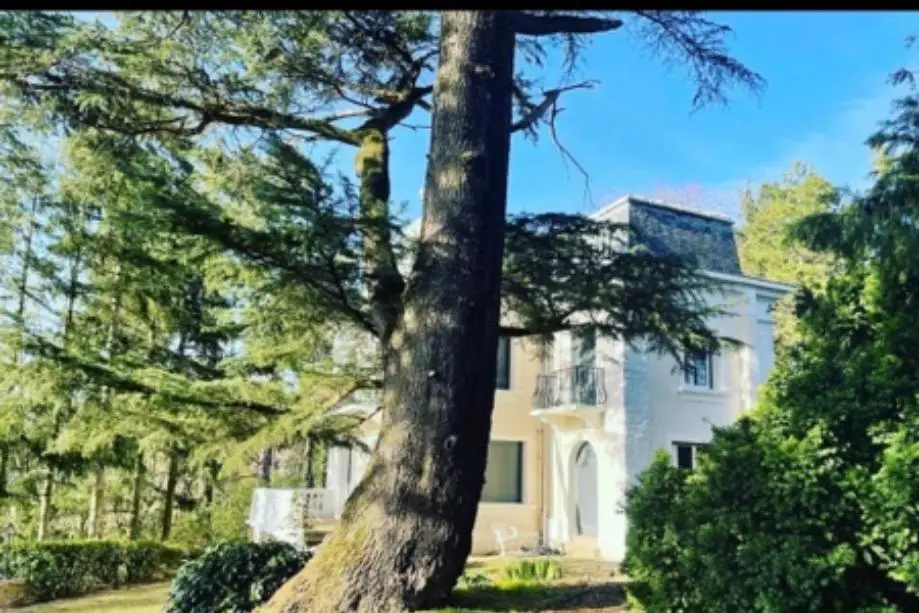 Le Domaine de Montmorency — photo 7