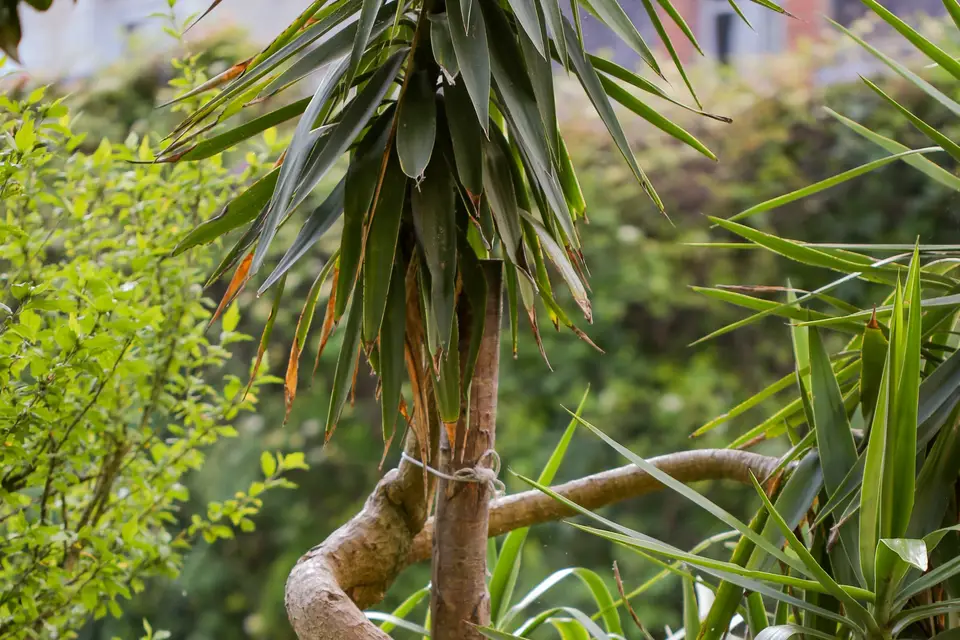 Domaine de la Chapelle aux roseaux — photo 1