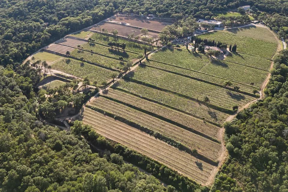 Clos Mirages — photo 2