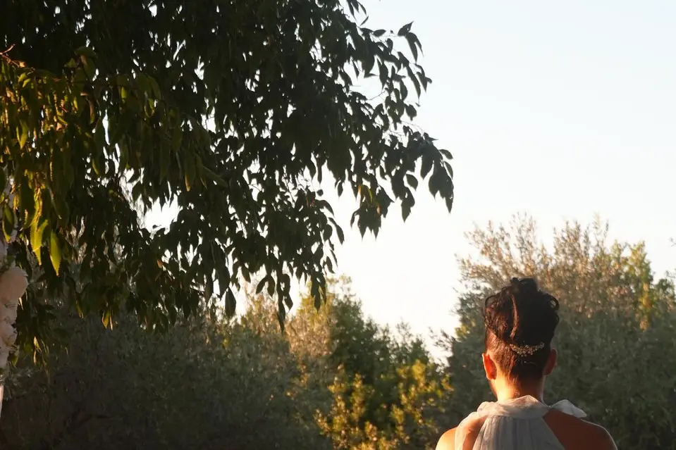 Feno Production — photo 1