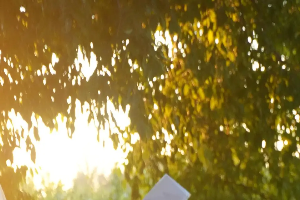 Feno Production — photo 5