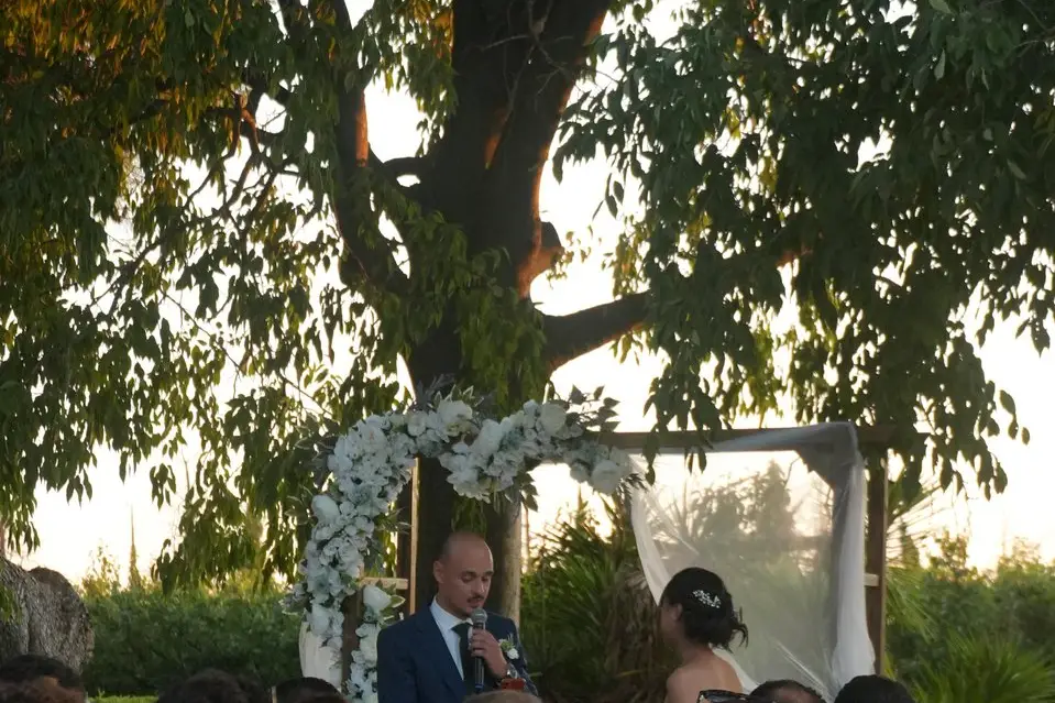 Feno Production — photo 3