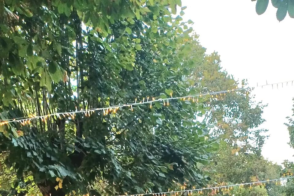 Champêtre Chic — photo 2