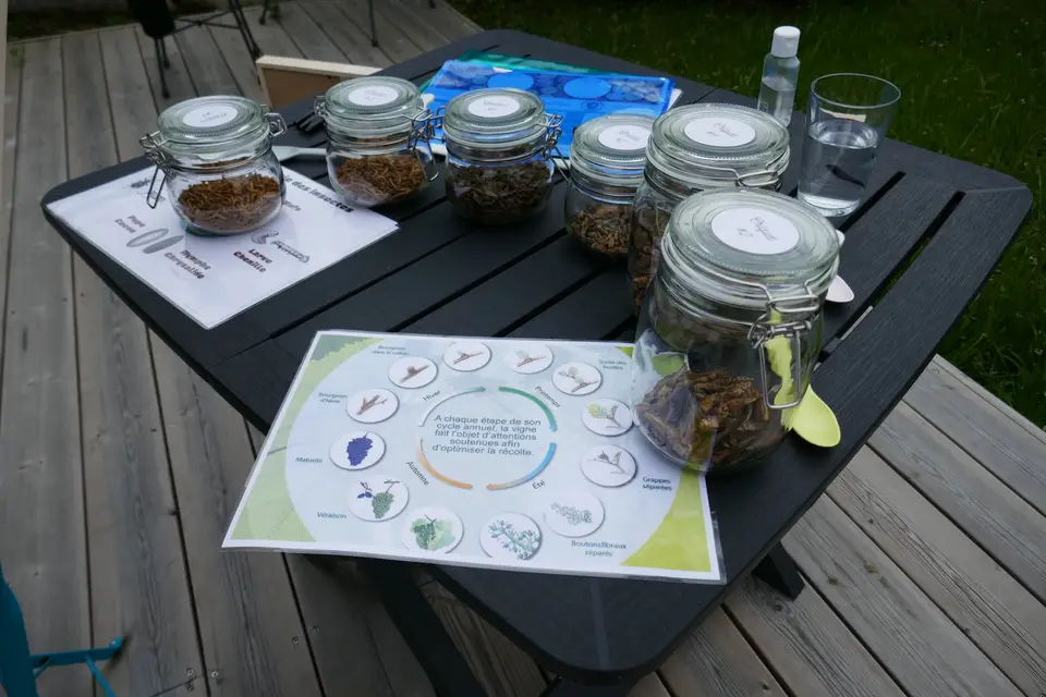 Vino Passeport — photo 6