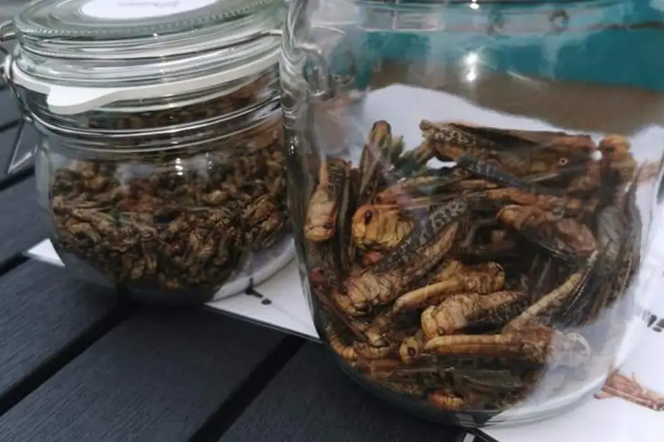 Vino Passeport — photo 2