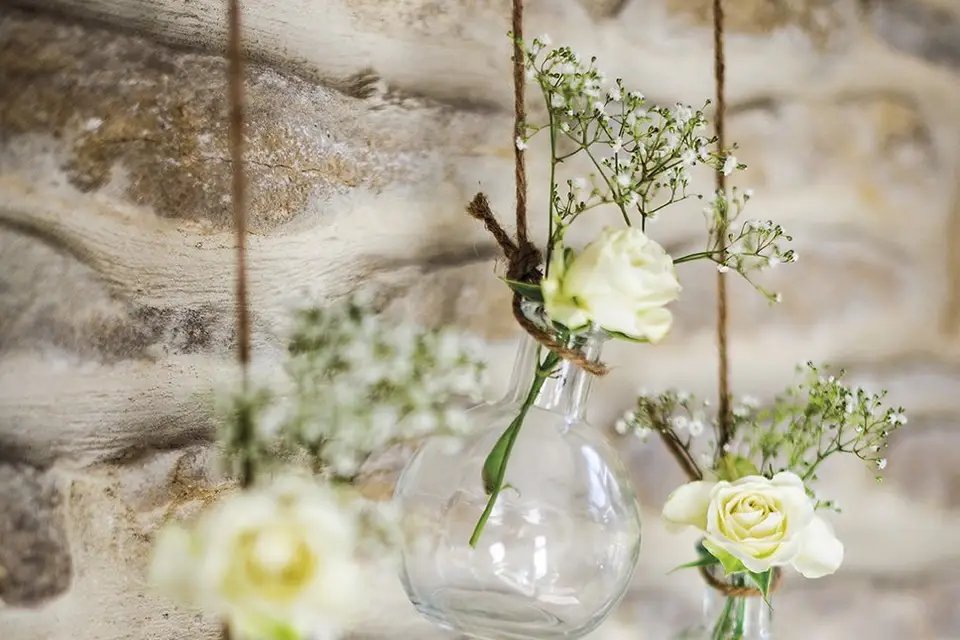 Happy Fiesta — photo 3