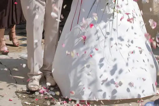 Lotus Studio — photo 3