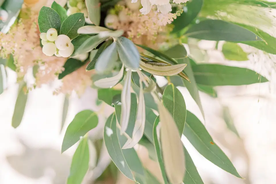 Les Fleurs de Ninon — photo 4