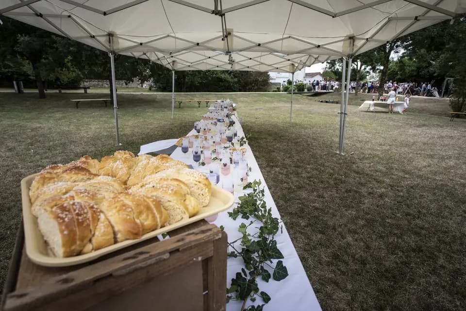Salle des Ormes — photo 5