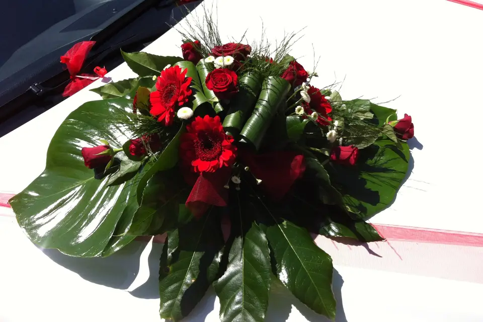 Argence Fleurs — photo 3