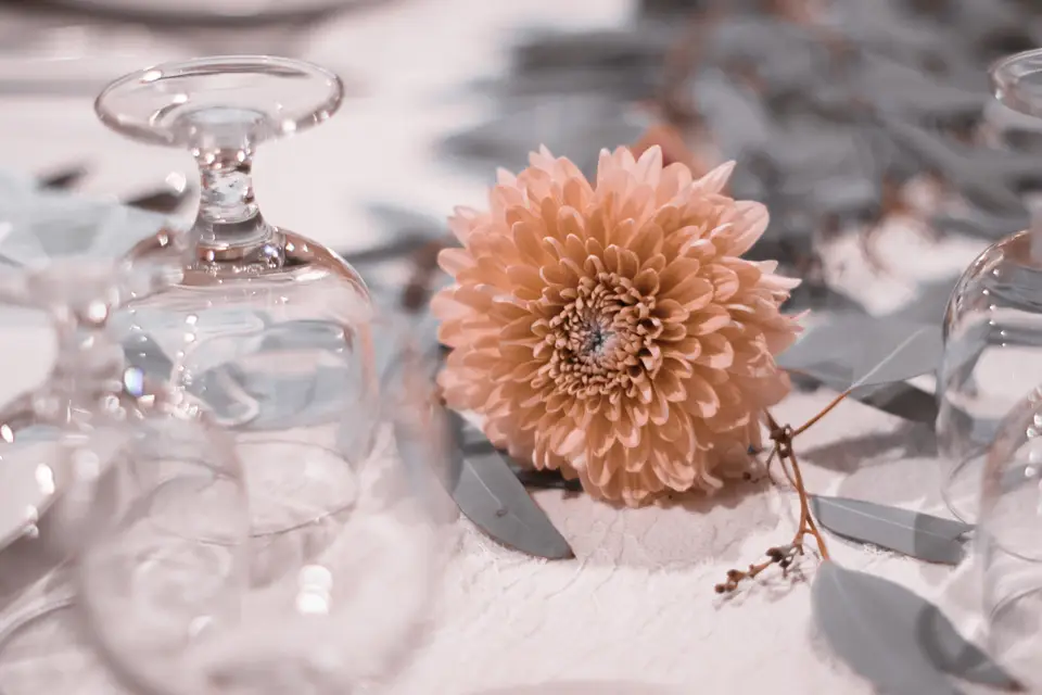 Tacapté Production — photo 4