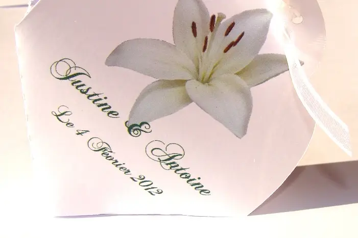 Affection Confection — photo 5