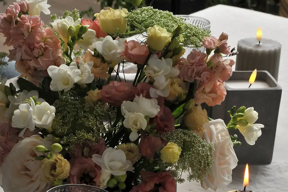 Localyptus — photo 3