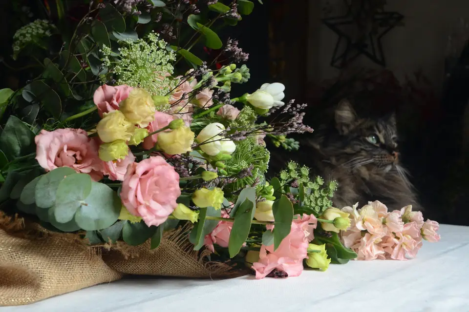 Localyptus — photo 1