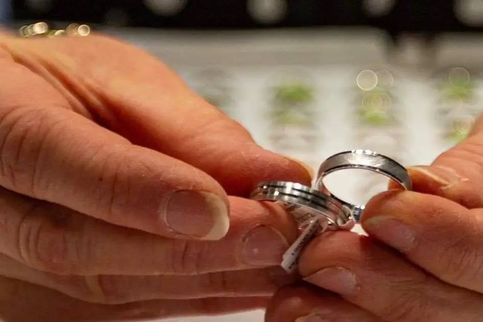 Bijouterie Berrod C — photo 3