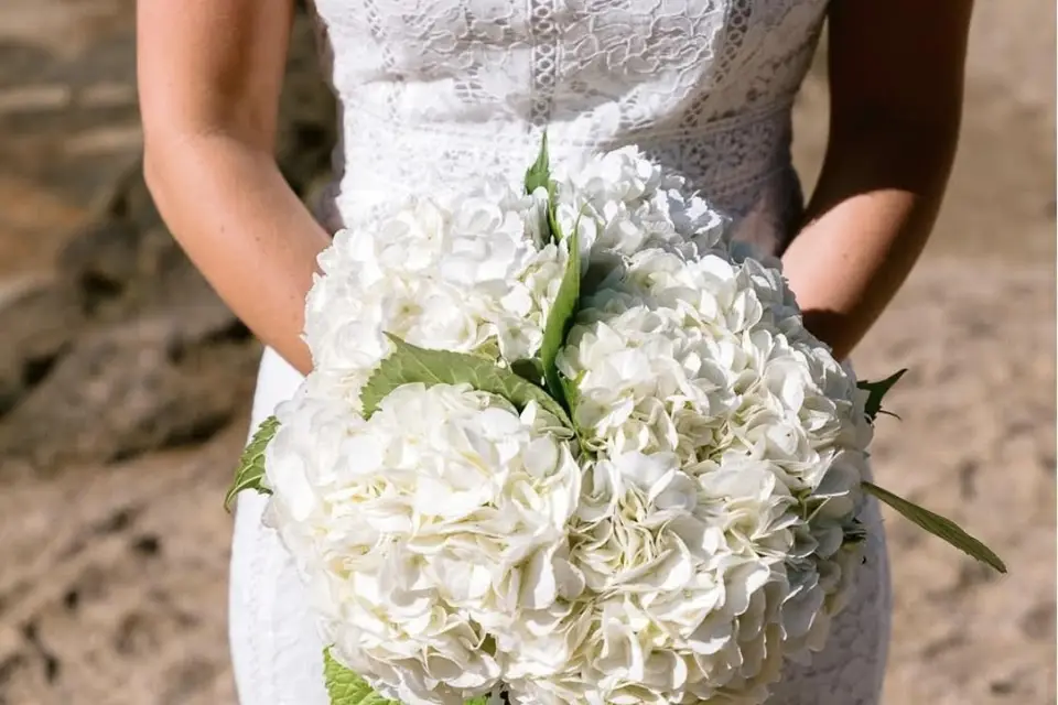 Mûres Sauvages — photo 3