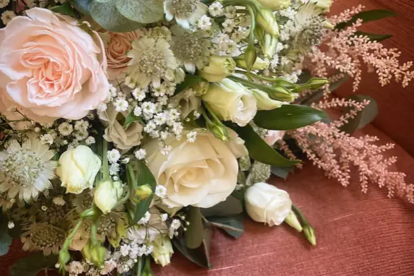 Mûres Sauvages — photo 8