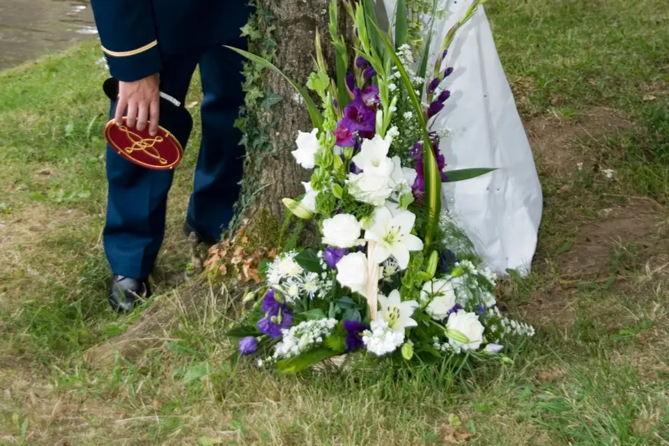 Studio Photomax — photo 5