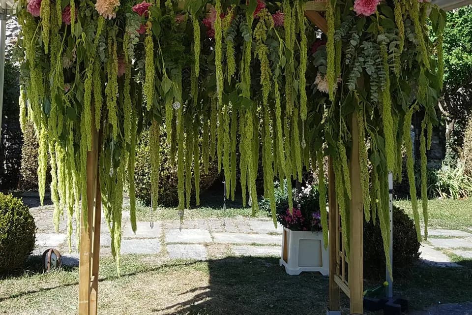 Mademoiselle Nature — photo 4