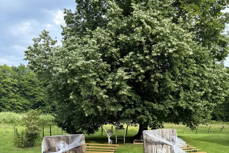 Rêvons Mariage — photo 2