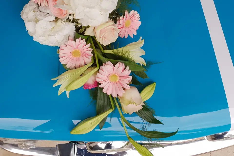 Boutique Welcome — photo 3