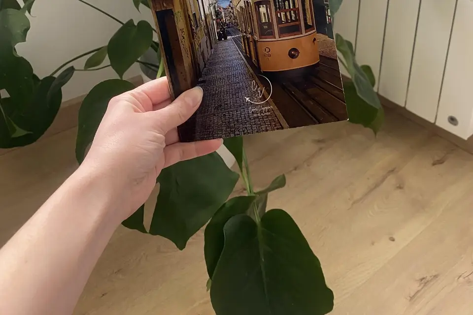 Cœur Voyageur — photo 3