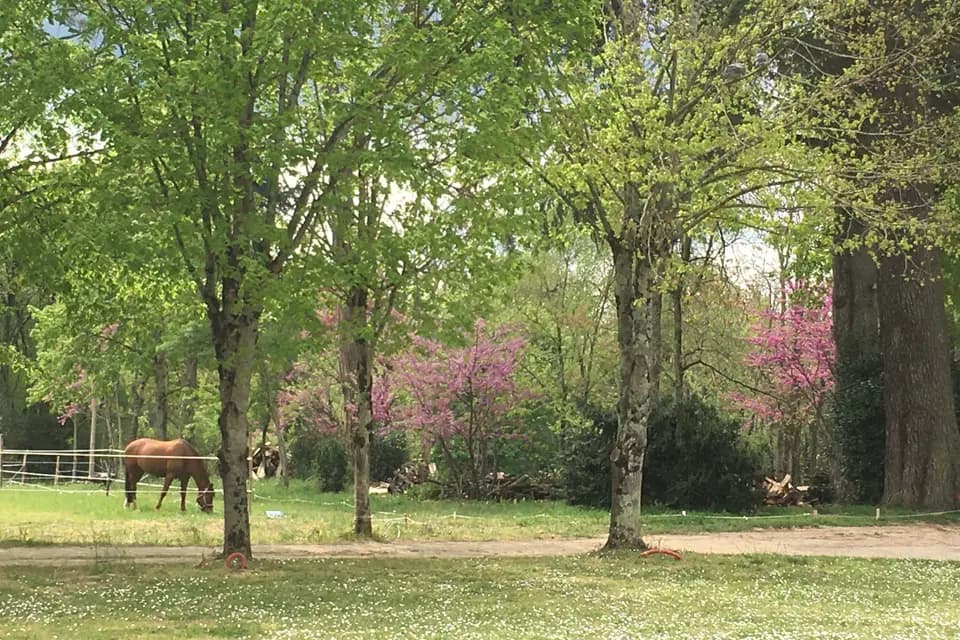 Château du Gô — photo 3