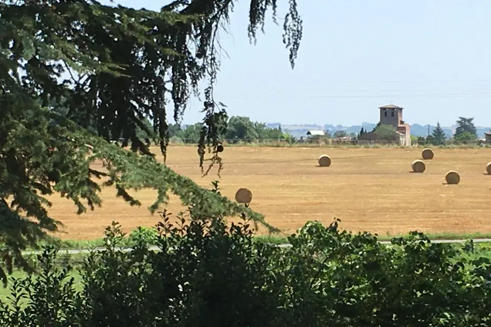 Château du Gô — photo 4