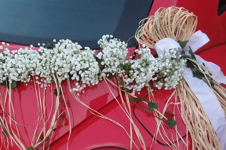 Effet bois & fée main — photo 1