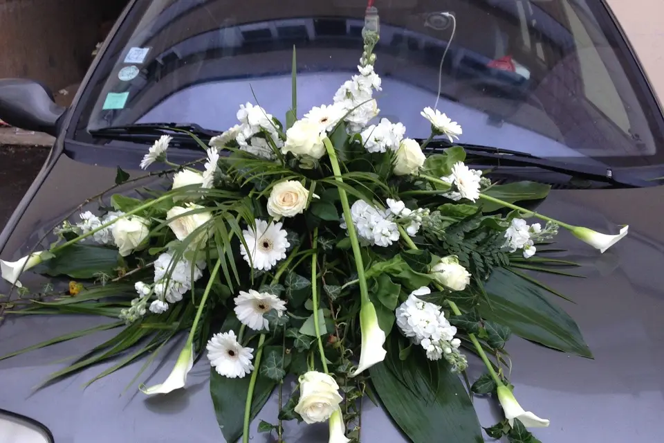 Aux coquelicots — photo 8