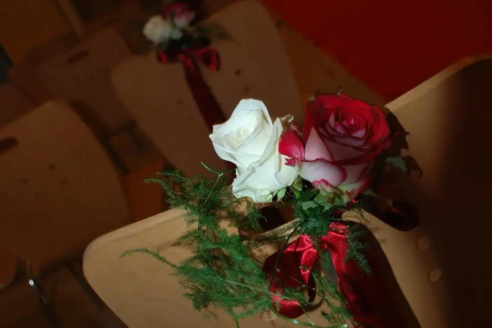 Aux coquelicots — photo 6