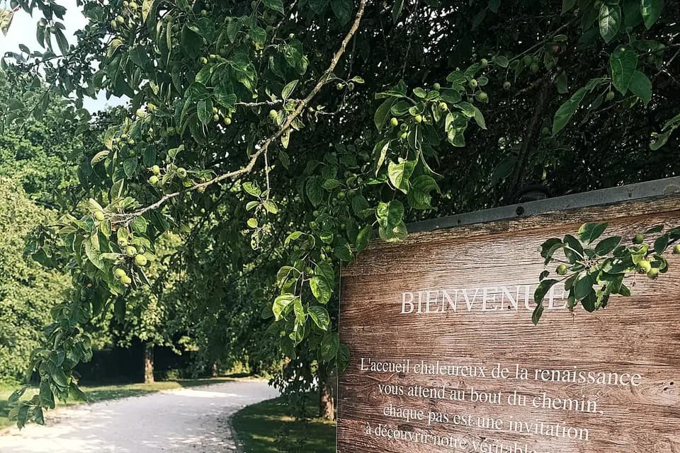 Domaine La Renaissance — photo 6