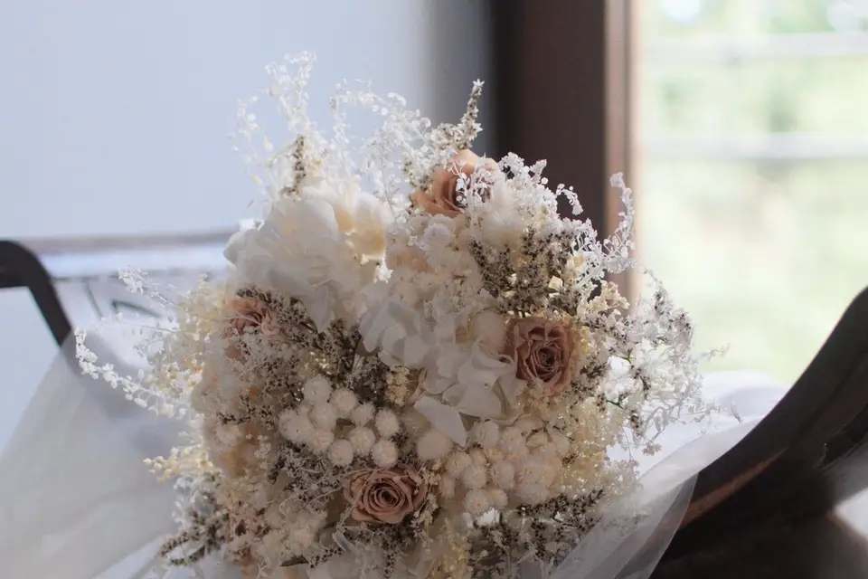 StudioFocusPau — photo 2