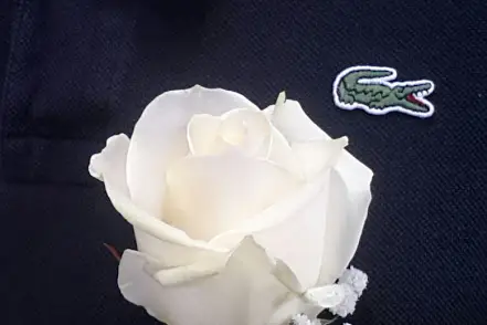 Art Floral — photo 5