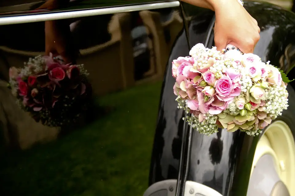 Angéline Photographie — photo 8