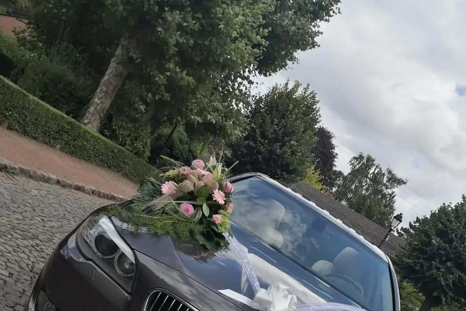 BMW Attitude — photo 8