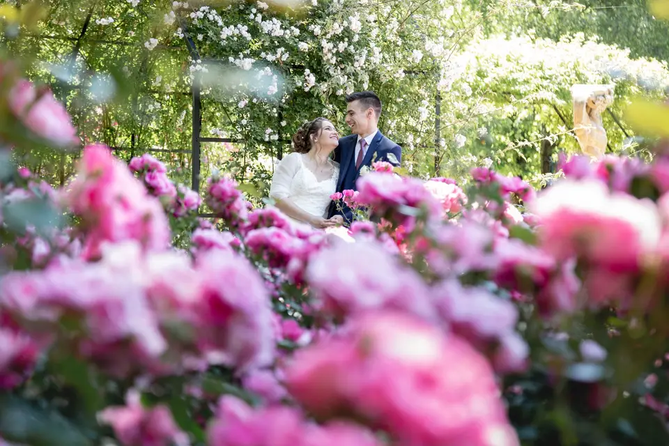 Pixel Studio — photo 3