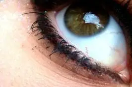 Shiny Khôl — photo 7