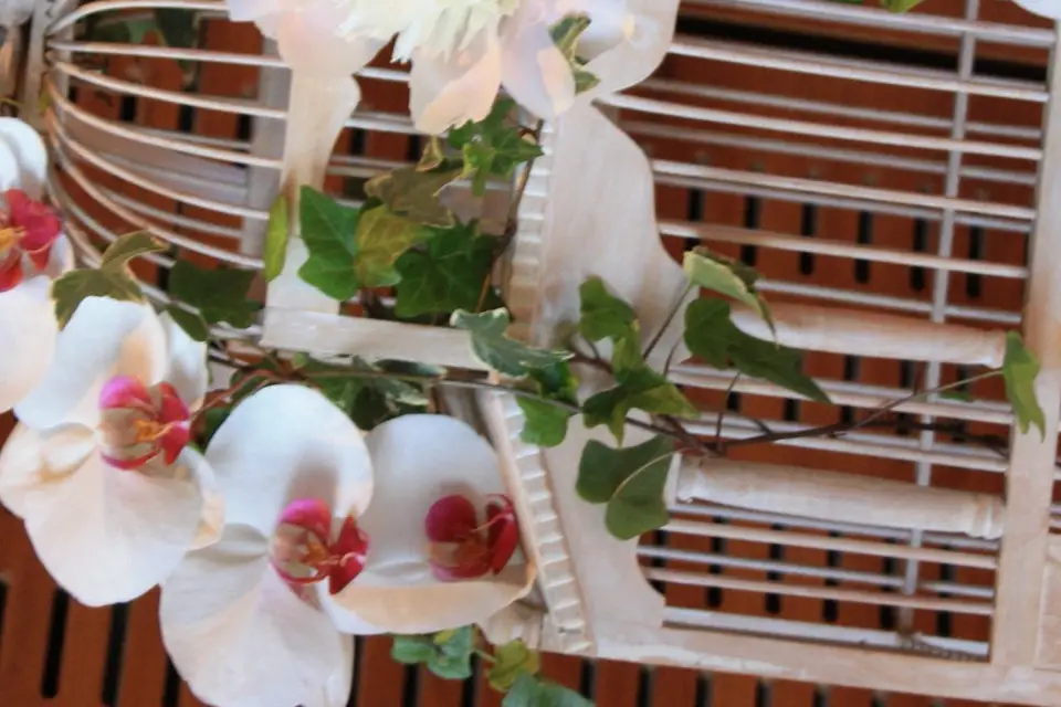 DisMoiOui Bordeaux — photo 5